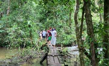 Camanita en la Selva