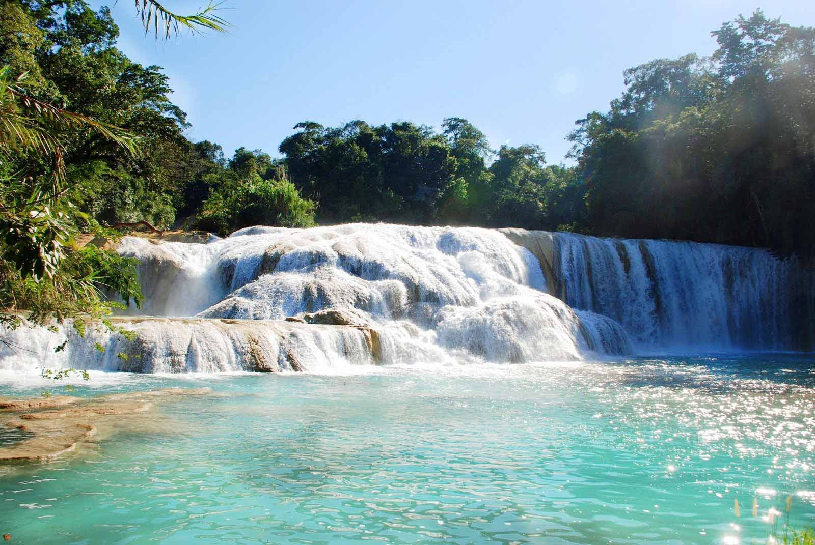 Tour Zona Arqueológica de Palenque - Misolhá y Cascadas de Agua Azul - SCL foto 1