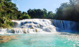 Tour Zona Arqueológica de Palenque - Misolhá y Cascadas de Agua Azul - SCL