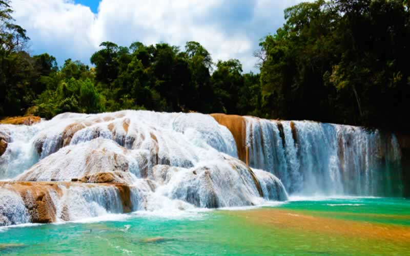 Tour Cascada de Agua Azul, Misolha Y Zona Arqueológica de Palenque foto 2