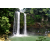 PLQ-Tour Zona Arqueologica de Palenque, Cascada de Misolhá y Cascadas de Agua Azul- SCL