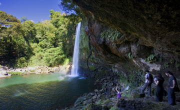 Tour Cascadas de Agua Azul, Misolhá y Zona Arqueológica de Palenque- PLQ