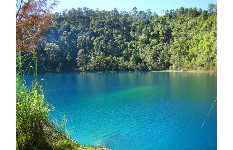 SCL-Tour Cascada el Chiflon y Lagunas de Montebello- SCL